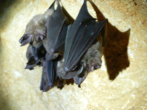 e0238313_955229.jpg