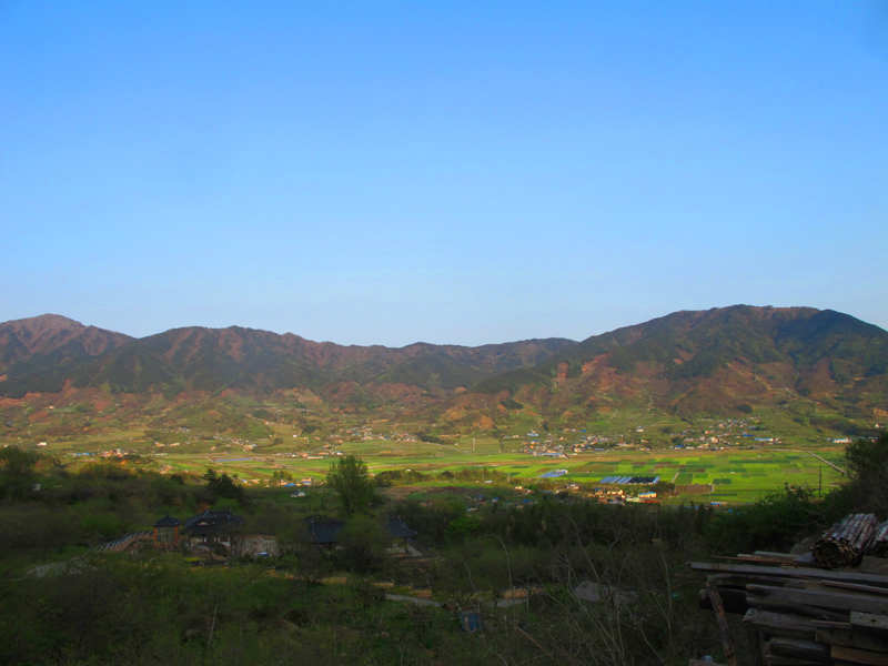 a0101715_9314178.jpg