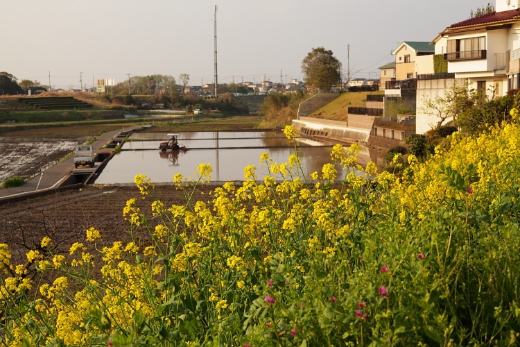 b0249720_23332612.jpg