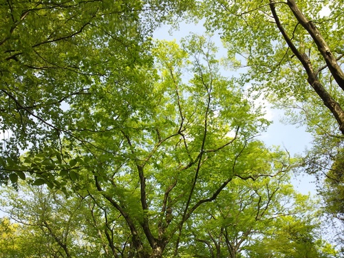 c0150520_22124792.jpg