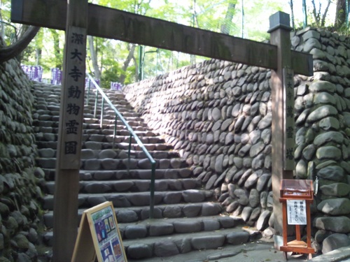 c0150520_225883.jpg