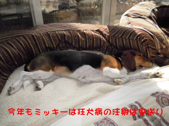 c0166622_14311042.jpg