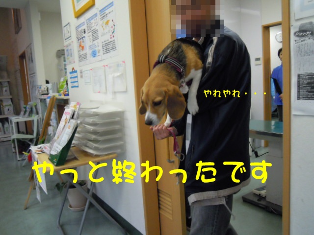 c0166622_14354239.jpg