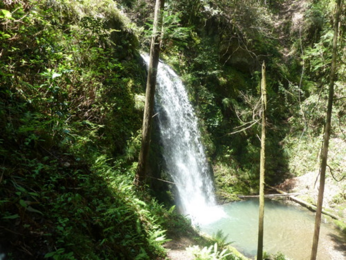 e0033229_21295141.jpg