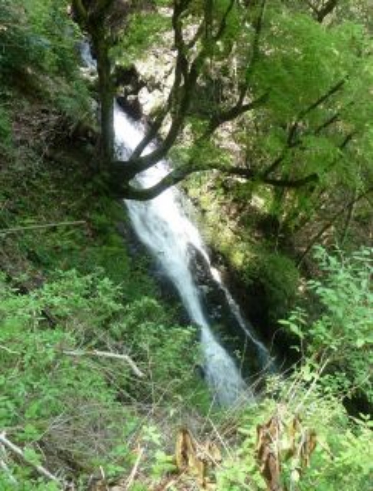 e0033229_22105943.jpg
