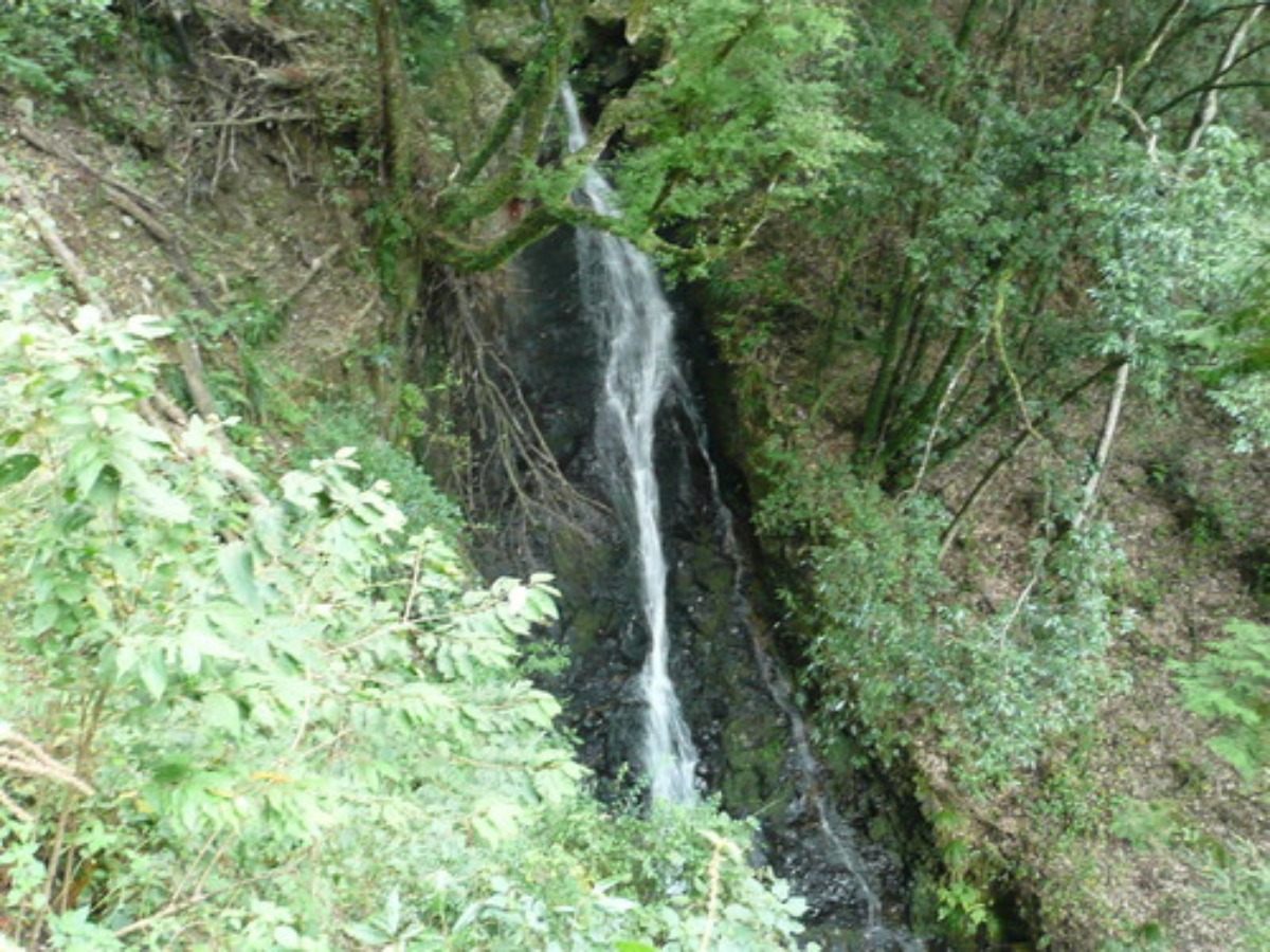 e0033229_2216178.jpg