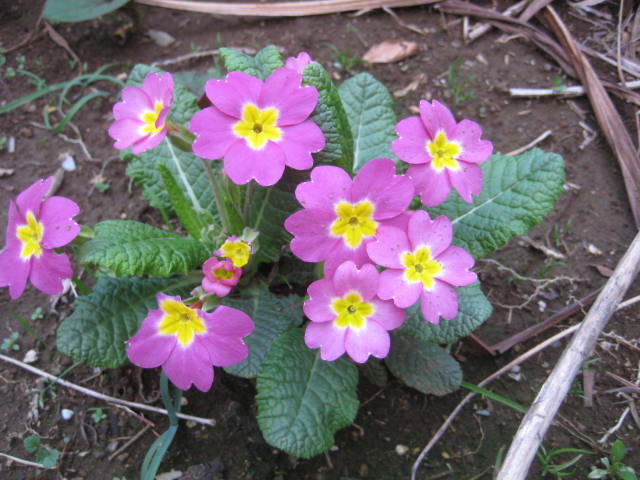 e0166032_2292928.jpg