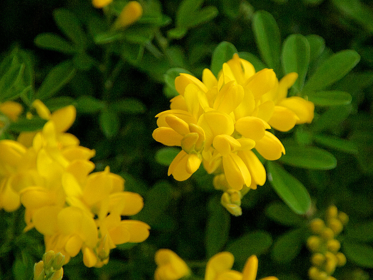 d0213034_18365897.jpg