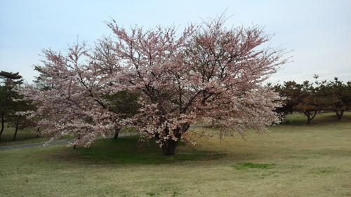 c0117936_2211480.jpg