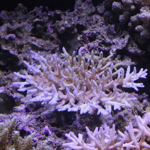 d0221436_1534127.jpg