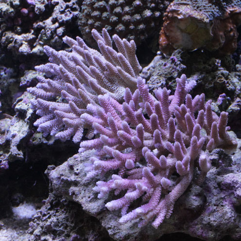 d0221436_15354929.jpg