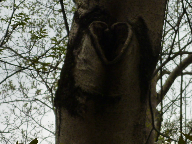 e0255638_20264746.jpg