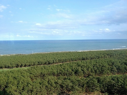 d0047840_10515161.jpg