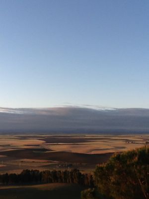 e0210347_1721073.jpg