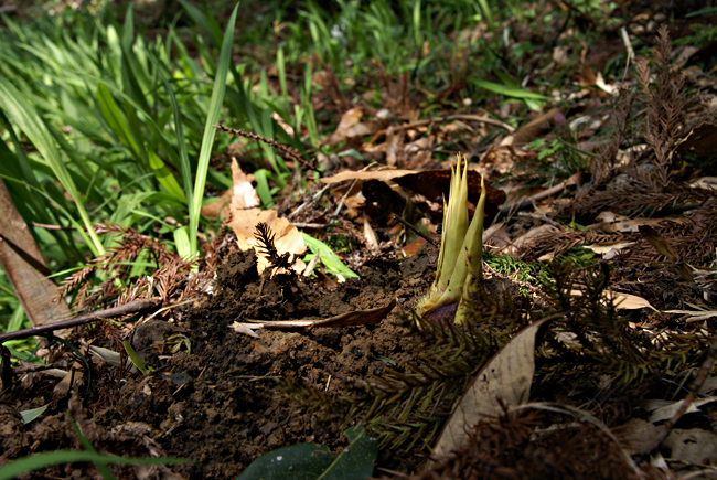 f0214649_4295588.jpg