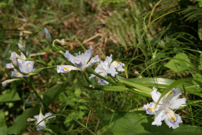 f0214649_442440.jpg
