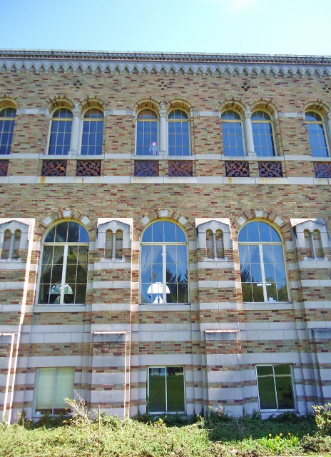 d0172957_12464985.jpg