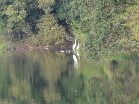 c0108460_2237559.jpg