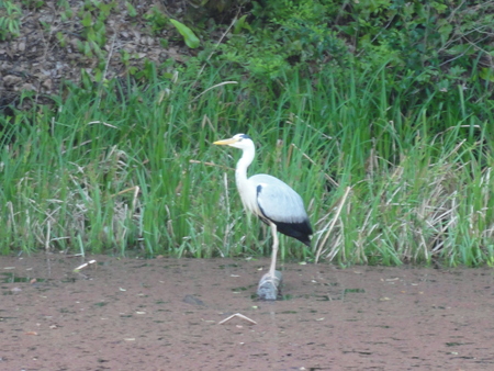 c0108460_22385028.jpg