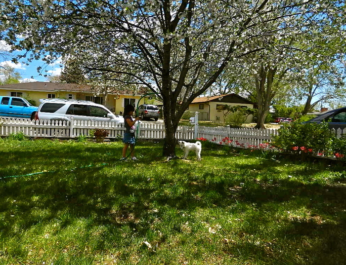 b0207361_11275677.jpg