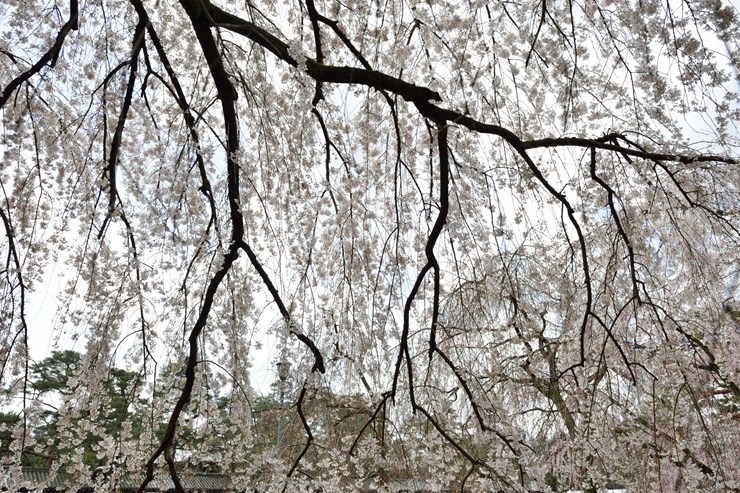 f0222161_2021822.jpg