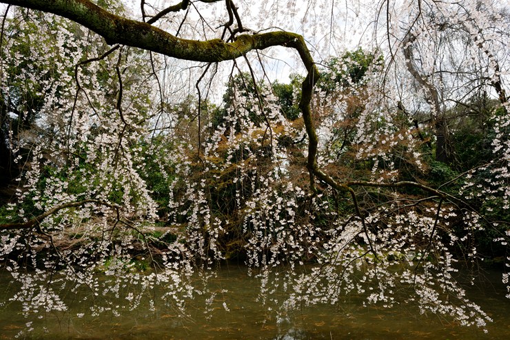 f0222161_20357.jpg