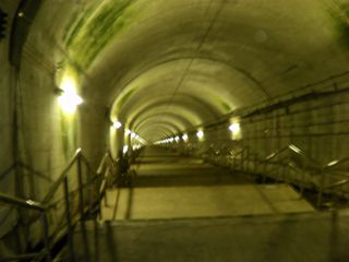 d0045362_4431590.jpg