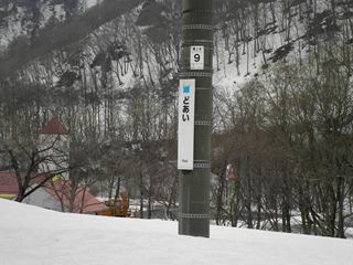 d0045362_453305.jpg