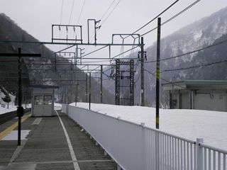 d0045362_511188.jpg