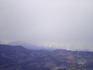 d0045362_5385640.jpg