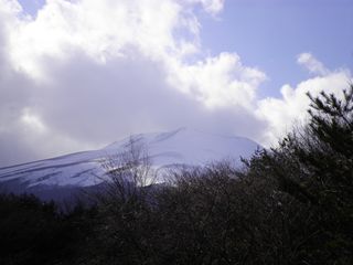 d0045362_6254694.jpg