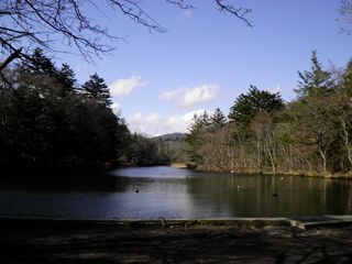 d0045362_6451954.jpg