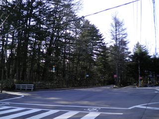 d0045362_64636.jpg