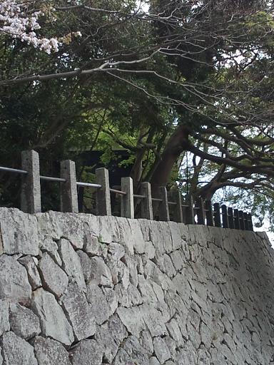 f0150364_931030.jpg