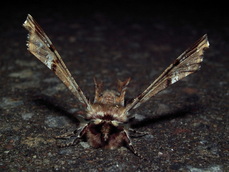 b0130166_2014372.jpg