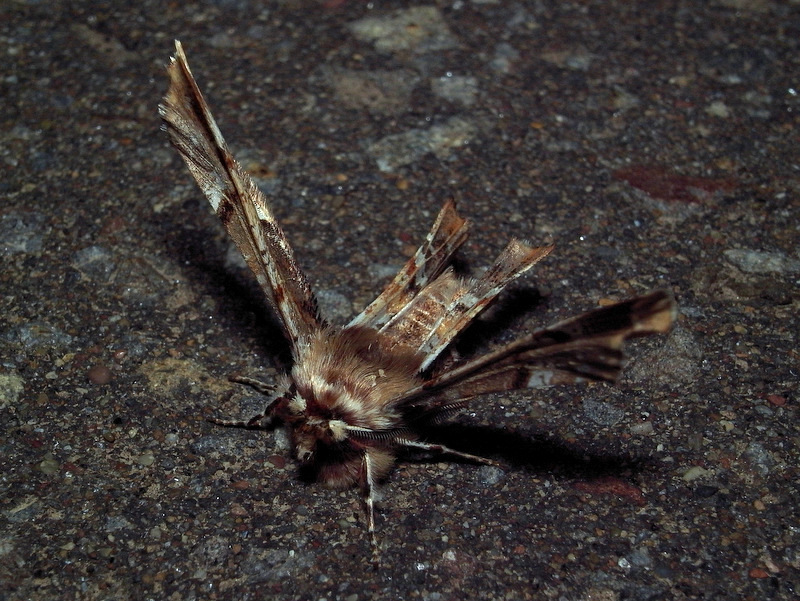 b0130166_2032434.jpg