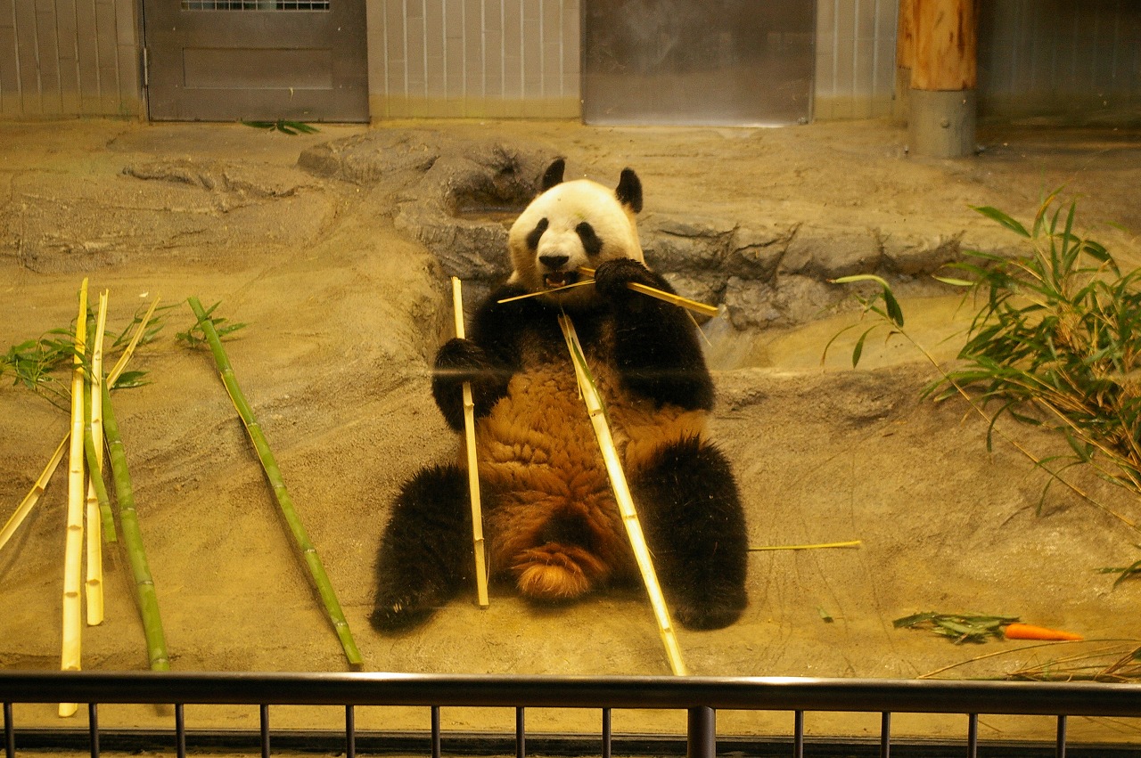d0031171_2039418.jpg