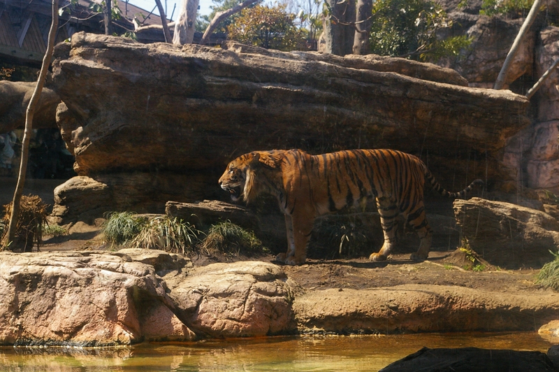 d0031171_20394236.jpg