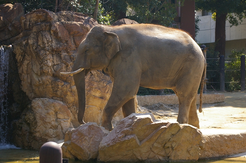 d0031171_2041247.jpg