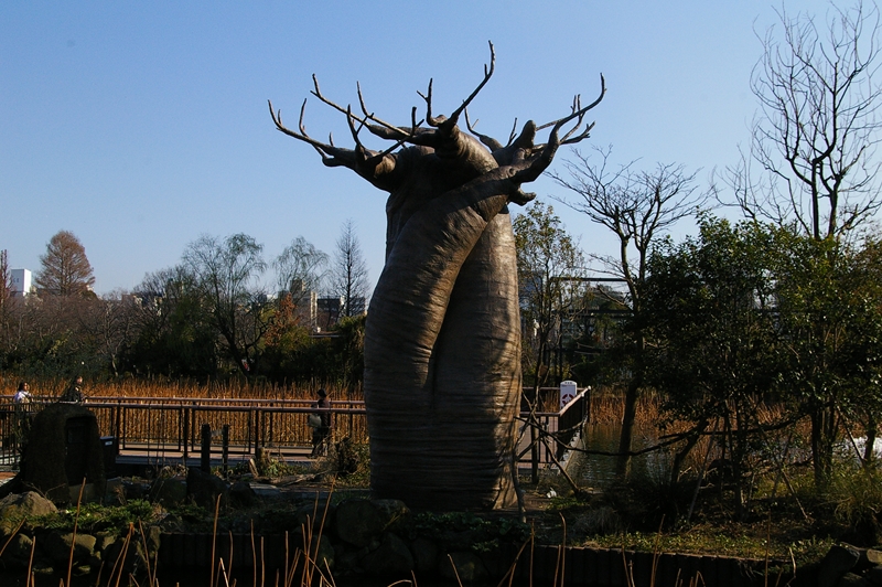 d0031171_20425570.jpg