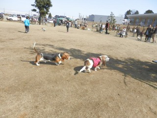 f0204072_7412366.jpg