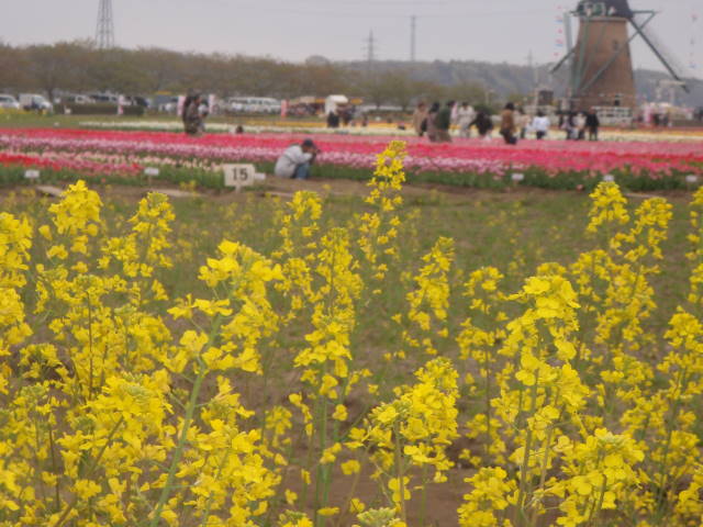 a0113874_0173259.jpg