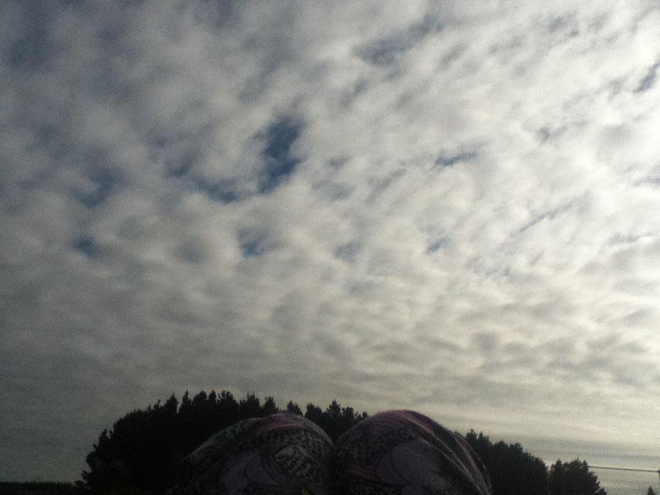 c0105680_695886.jpg