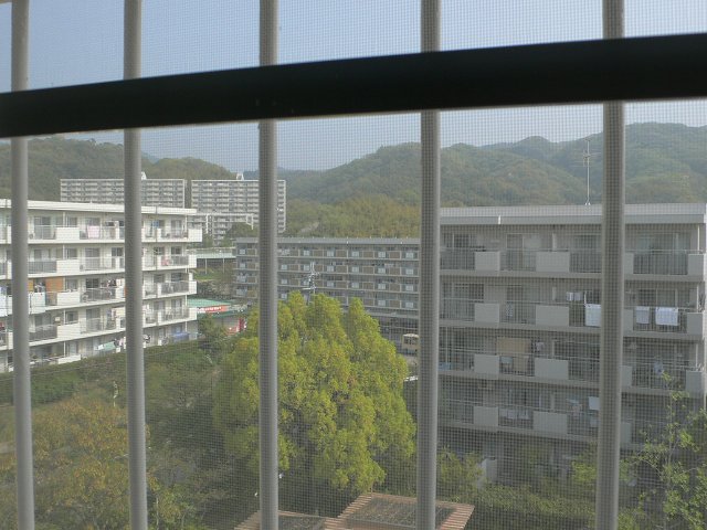 b0042882_8553649.jpg
