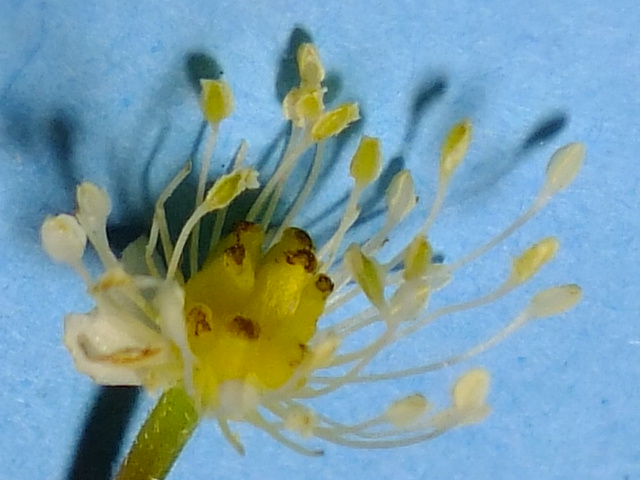 e0145782_18221253.jpg