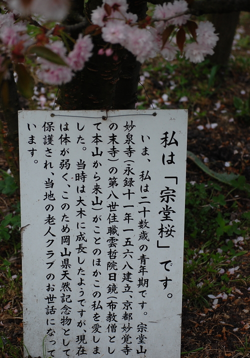 d0179983_19371551.jpg