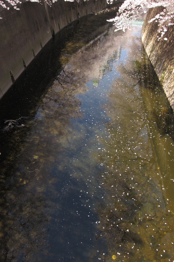 b0160184_21505787.jpg