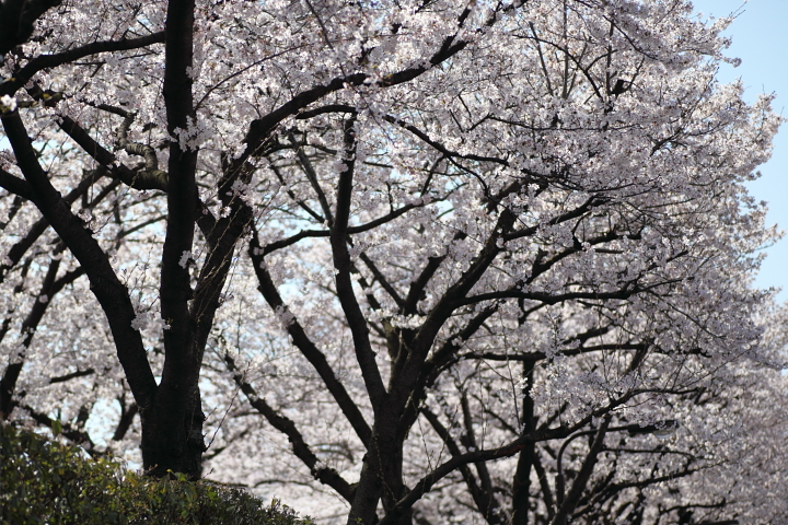 f0164989_18855.jpg