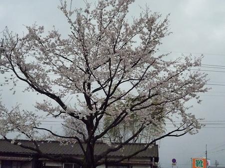 c0123890_20531388.jpg