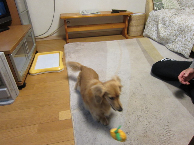 d0098295_024636.jpg